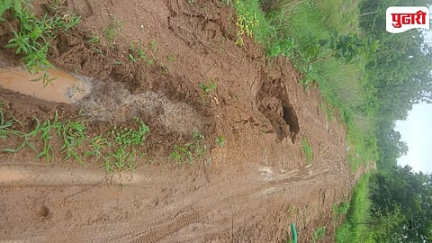 Chandrapur Ghodazari Lake Canal Breach 