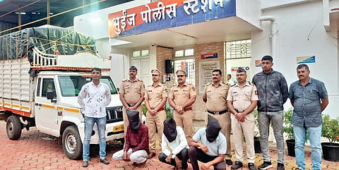 Satara Cattle Theft: जनावरे चोरणारी टोळी भुईंज पोलिसांच्या जाळ्यात; वाई, कुडाळ, बावधन परिसरातील शेतकरी लक्ष