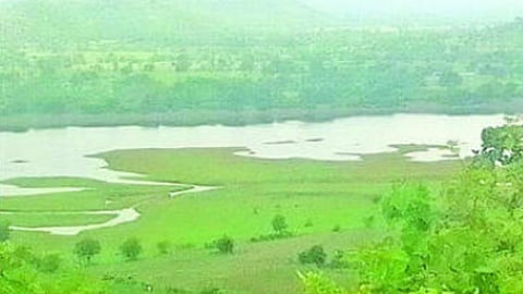 Mahur taluka water crisis