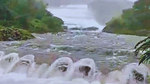 Monsoon Alert 