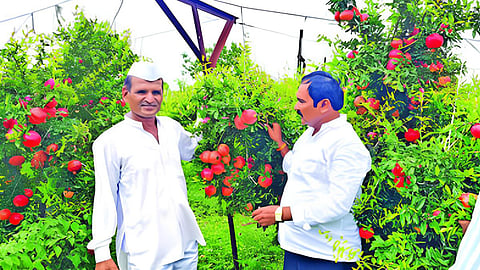 beed news
