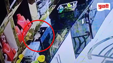 Rat Steals Jewellery