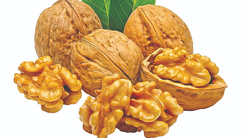 Walnuts Superfood |