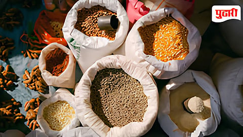 pulses cultivation