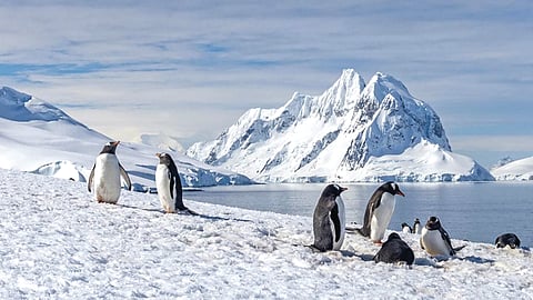 Lowest Temperature |
