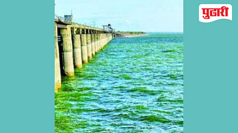 Jayakwadi water level