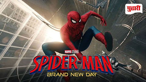 Spider Man Brand New Day Box Office
