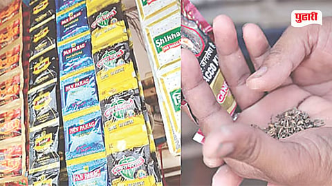Panvel Illegal Gutkha Sale