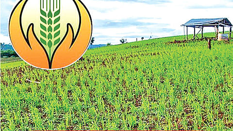 PM Fasal Bima Yojana