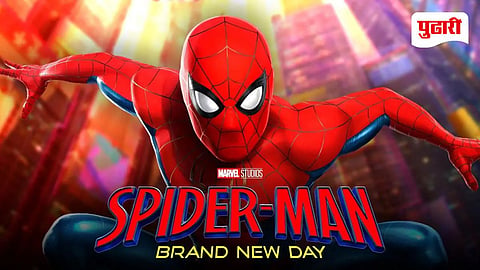 Spider Man Brand New Day Box Office