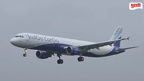 Navi Mumbai Airport Cargo Service