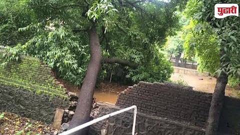 Dombivli  Tree Falls On School Wall