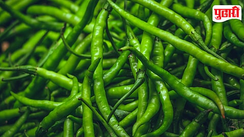 Green Chilli