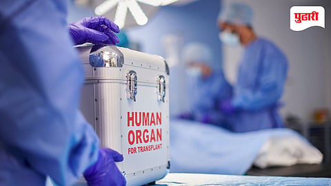 Organ Donation