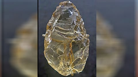 Neanderthal Weapon |