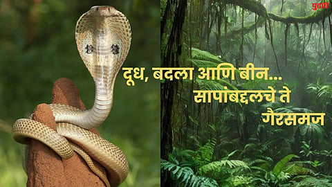 Snake Myth