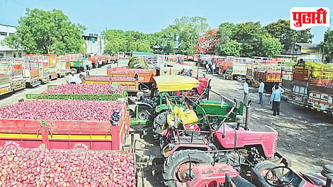 Onion Market