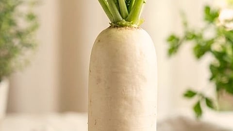 How to Reduce Radish Smell