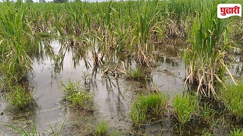 Shirol Farmland Water Drainage Issue