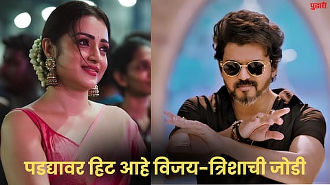 thalapathy vijay trisha krishnan