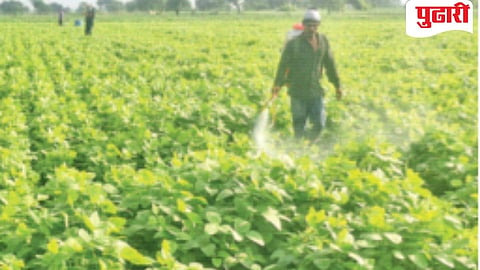 Jalna Agriculture News