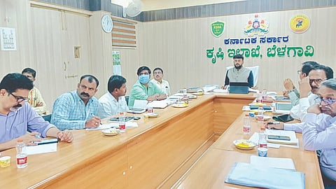 Belgaum News: जिल्ह्यात ९५ टक्के क्षेत्रावर पेरणी पूर्ण