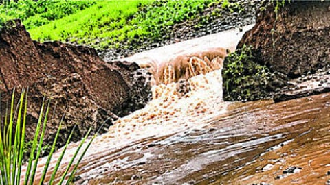 जायखेडा : आखतवाडे गावातील बिजोटे शिवारात 'इंजिरा' पाझर तलावाचा बंधारा फुटल्यानंतर पुराच्या पाण्यामुळे नुकसान झालेली मका, बाजरी, कोथिंबीर व वाल पिकांची शेती. (छाया: प्रकाश शेवाळे) 