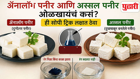 How to identify Analog Paneer
