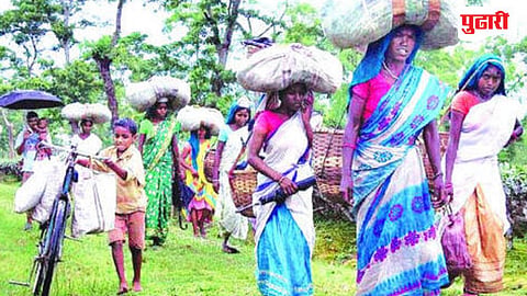 MGNREGA Nashik | कागदावर 95 % काम पूर्ण, तरीही हाताला काम नाही! नाशिकमधील आदिवासींचे स्थलांतर थांबायला तयार नाही