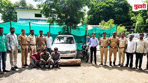 Kinwat Teakwood Smuggling 