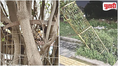 Pimpri Chinchwad Tree Conservation Issue