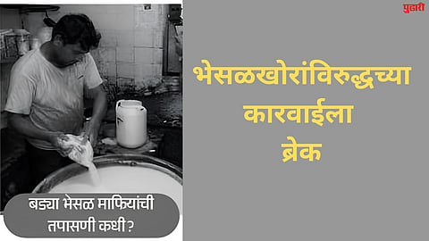 adulteration case