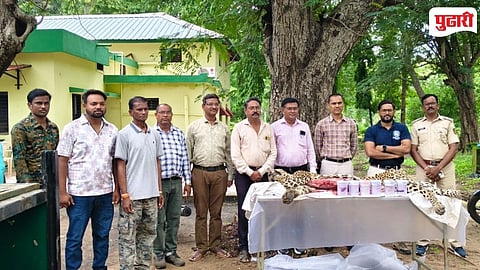 Chimur Forest Range Leopard Death