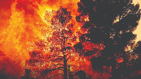 Europe wildfires |