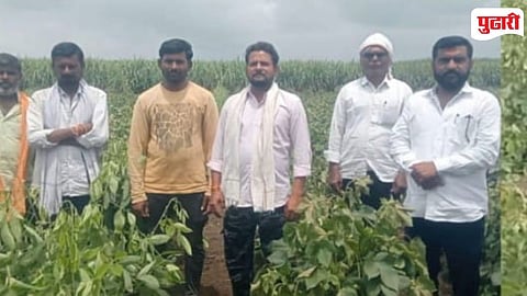 Purna Crop Damage