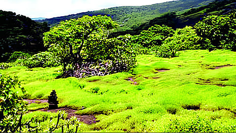 SGNP land