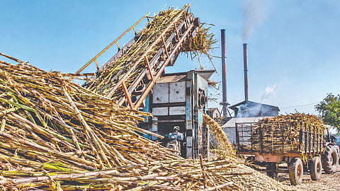 Sugar Commissioner Dr. Sanjay Kolte | विनापरवाना ऊस गाळप केल्यास कारवाई करणार