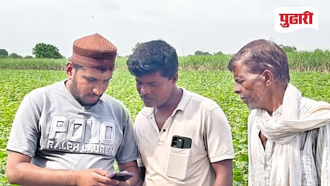 Crop inspection Beed : माजलगाव तालुक्यात पीक पाहणीला वेग; शेतशिवारात प्रत्यक्ष नोंदणीसाठी यंत्रणा सक्रिय