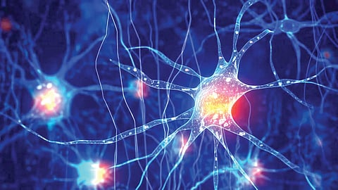 Alzheimer’s Disease Treatment | मेंदूच्या अल्झायमर आजारावरील उपचारांसाठी नवी दिशा