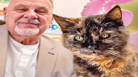 World’s Oldest Cat | 