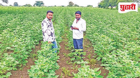 Kinwat e crop survey