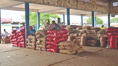 Onion Price