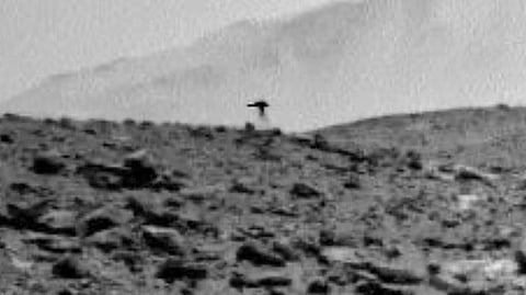 Jellyfish on Mars | 