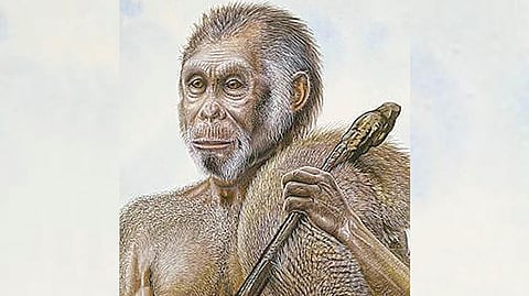Hobbit Species |