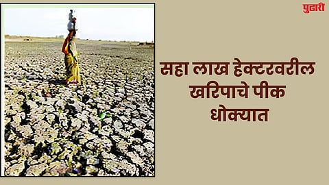 Kharif Crops 