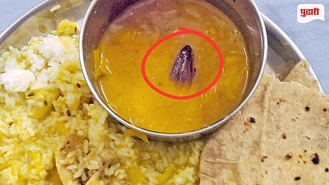 Cockroach Found in Hospital Food