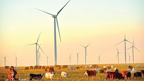 Windmill Project