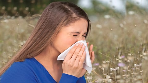 Constant Sneezing | 