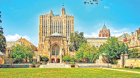 Yale University |