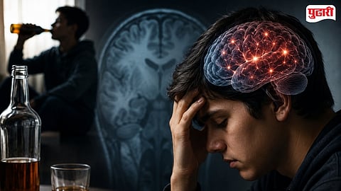 Alcohol Drinking Brain Damage